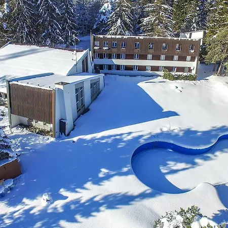 מלון Hotel Gruesch