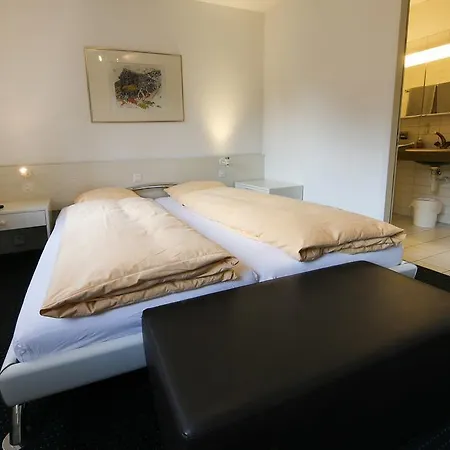 Hotel Gruesch מלון 3*